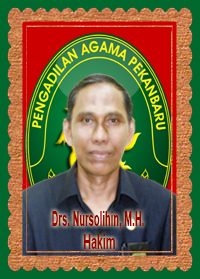 Drs Nursolihin MH