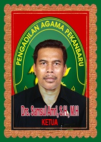 samsul amri